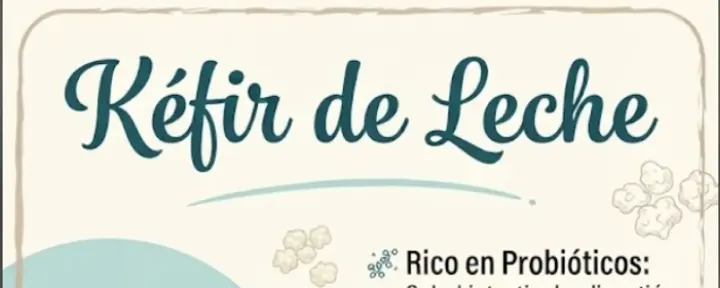 Portada de FERMENTOS 260