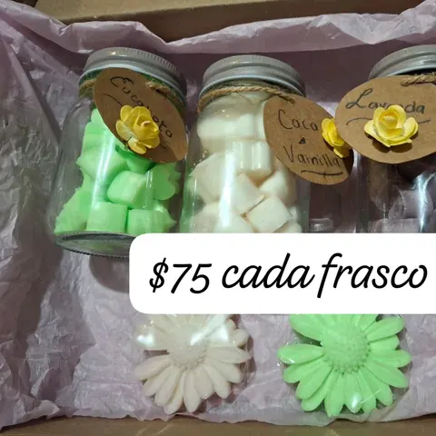 Wax Melts en frasco